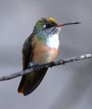 DSC_7557b.jpg