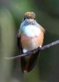 DSC_7560b.jpg