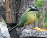 DSC_7658b.jpg