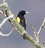 DSC_7749b.jpg