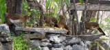 DSC_7756b.jpg
