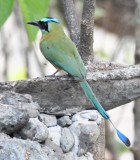 DSC_7774b.jpg