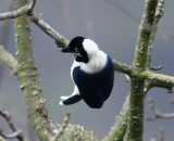 DSC_7807b.jpg