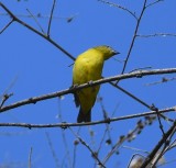 DSC_7882b.jpg
