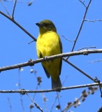 DSC_7884b.jpg