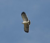 DSC_8008b.jpg