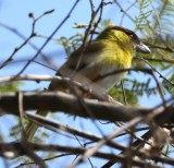 DSC_8047b.jpg