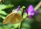 DSC_8049b.jpg