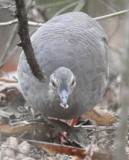 DSC_8323b.jpg