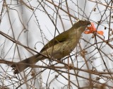 DSC_8373b.jpg