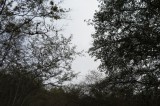 IMG_2799b.jpg