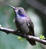 DSC_8934b.jpg