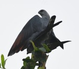 DSC_9000b.jpg