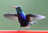 DSC_9058b.jpg