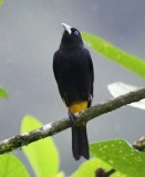 DSC_9104b.jpg