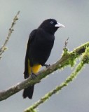 DSC_9107b.jpg