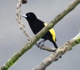 DSC_9115b.jpg