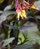 DSC_9202b.jpg