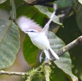 DSC_9435b.jpg