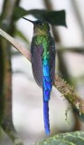 DSC_9567b.jpg