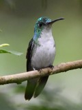 DSC_9590b.jpg
