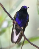 DSC_9647b.jpg