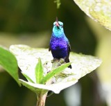 DSC_9765b.jpg