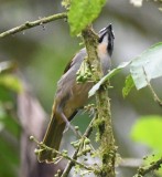 DSC_9892b.jpg