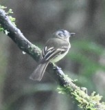 DSC_9932b.jpg