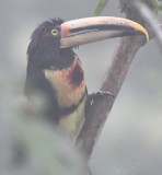 DSC_9958b.jpg