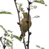 DSC_1913b.jpg