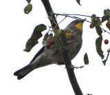 DSC_1938b.jpg