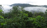 IMG_3118b.jpg