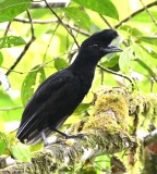 DSC_0693b.jpg
