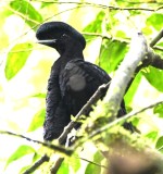 DSC_1003b.jpg