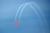 DSC05073 - Snowbirds II