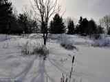 Looking south from the pond