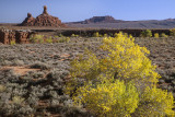 Early Afternoon In The Valley Of The Gods, Utah