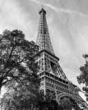 tower b+w.jpg