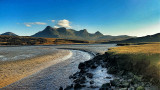 Ben Loyal