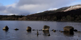 Ben Lomond from Milarrochy Bay, Loch Lomond