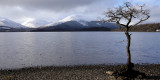 Glen Luss hills from Milarrochy Bay, Loch Lomond