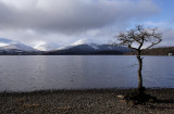 Glen Luss hills from Milarrochy Bay, Loch Lomond