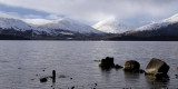 Glen Luss hills from Milarrochy Bay, Loch Lomond