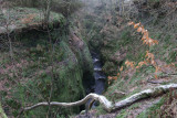 The Finnich Glen gorge