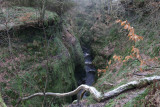 The Finnich Glen gorge