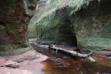 In the gorge by the Devils Pulpit