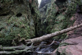 In the gorge by the Devils Pulpit