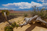 Ghost Ranch : Overlooked