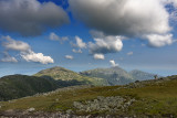 _DSC3702.jpg